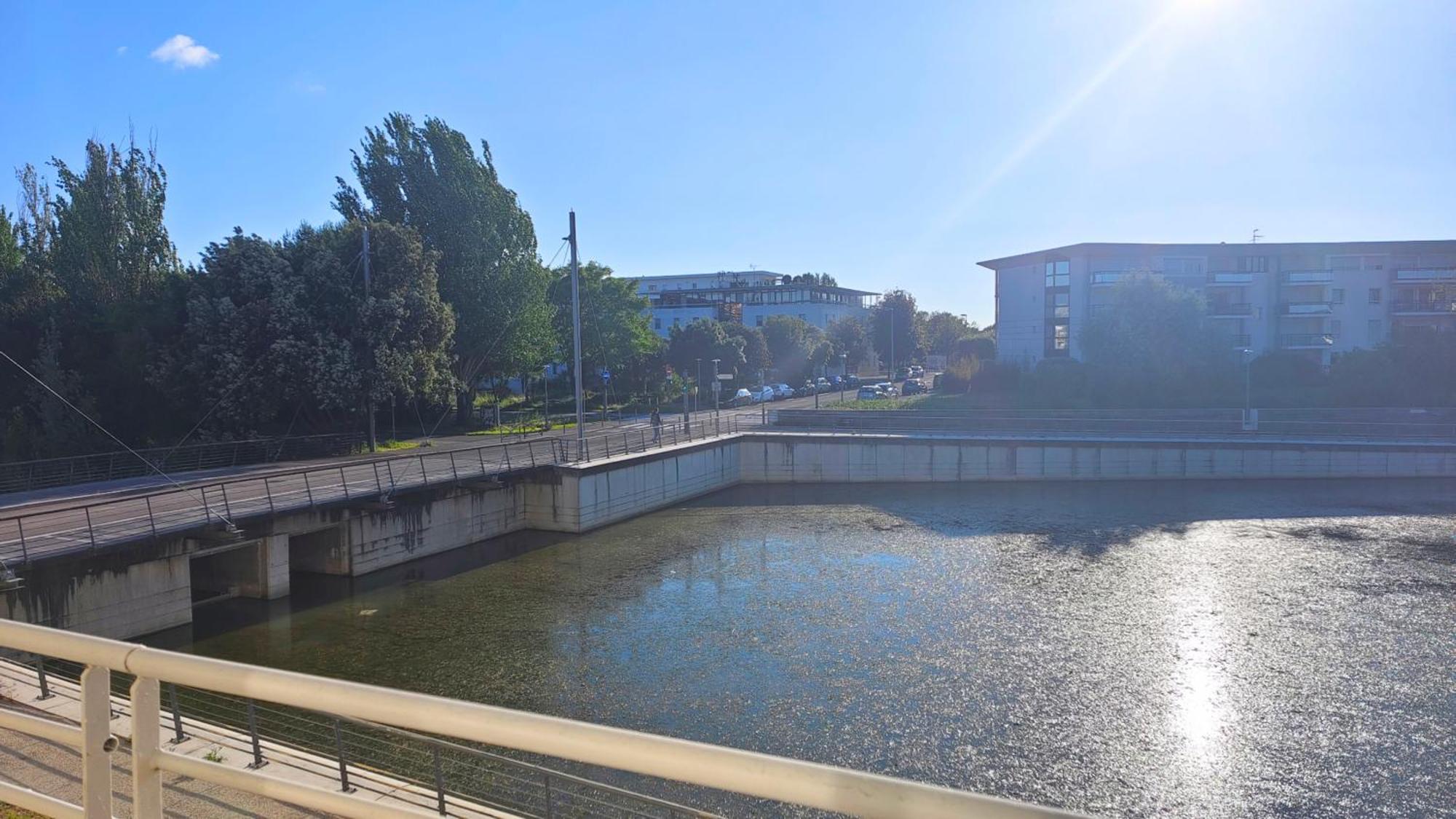 Charmant T2 Avec Piscine Vue Lac Aux Minimes La Rochelle Ла Рошел Екстериор снимка